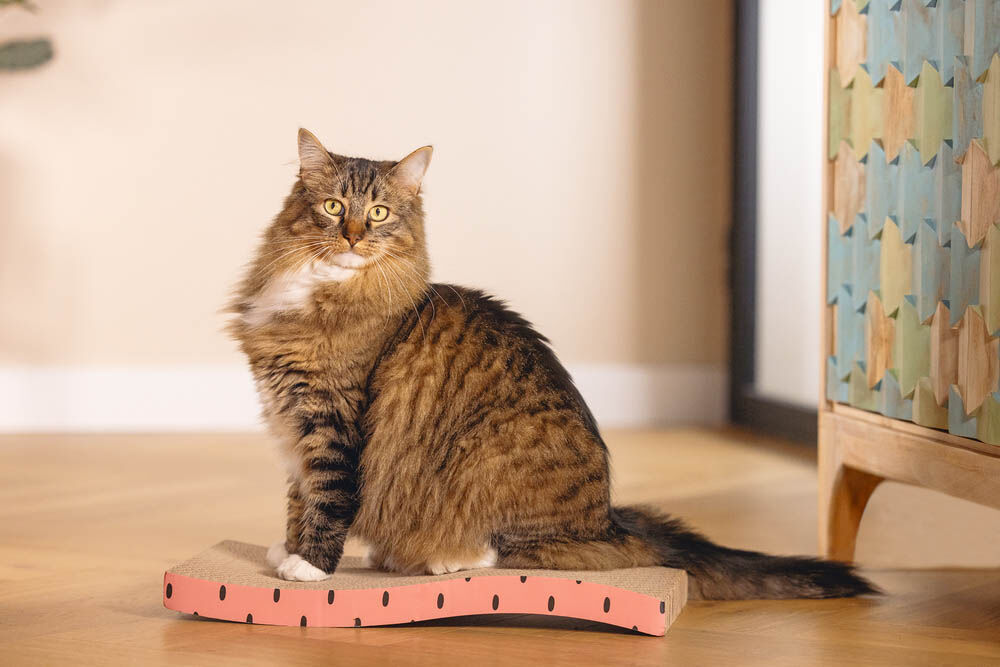 Beeztees Dots - Krabplank - Roze - 1x46.5x1 cm