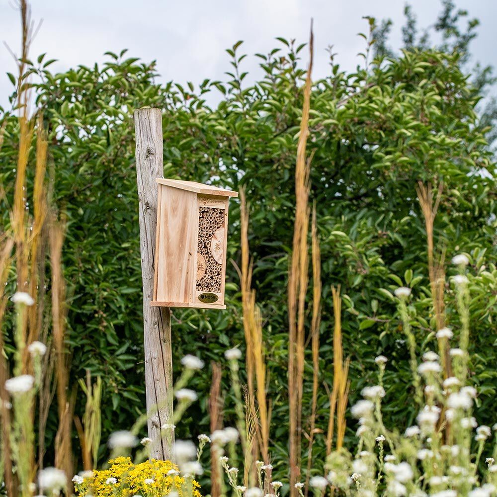 CJ Wildlife Marchena - Insectenhotel - Naturel