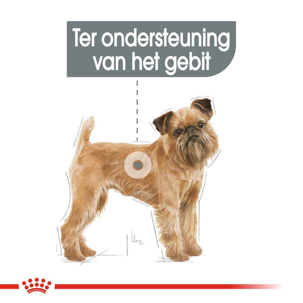 Royal Canin Dental Care Mini - Hondenvoer - 8 Kilogram - gevogelte