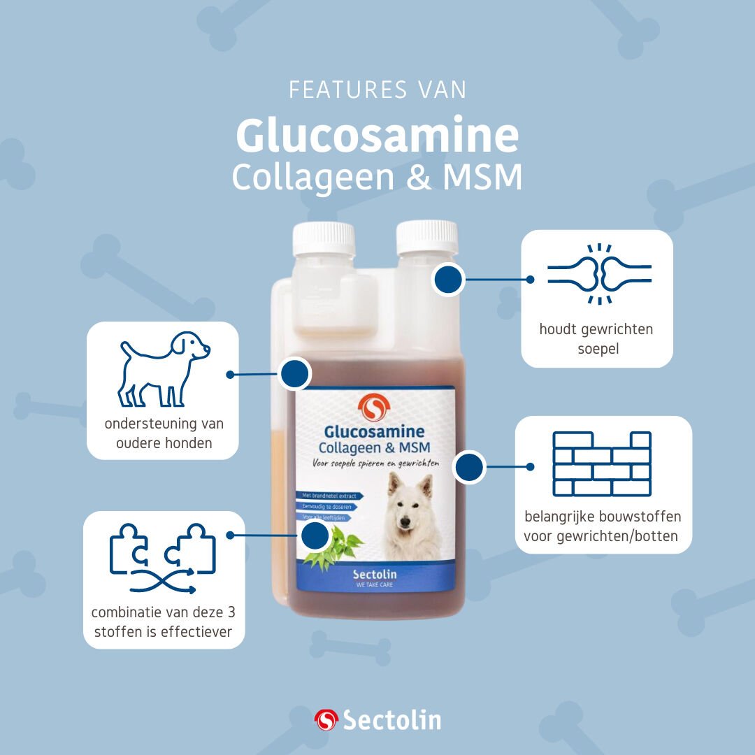 Sectolin Glucosamine Collageen & MSM - Gewrichten en spieren  Hond - 500 Milliliter
