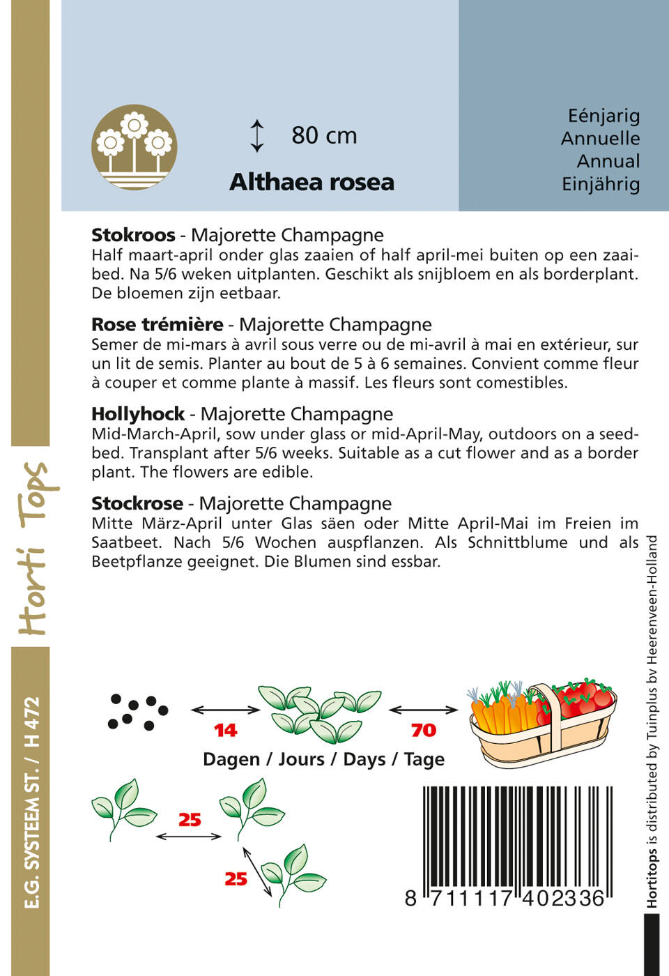 Hortitops Stokroos Majorette Champagne Althaea rosea - Bloemzaden