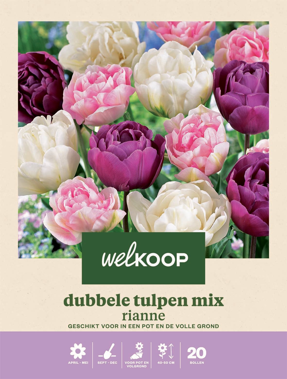 Welkoop Dubbele Tulpen mix  Rianne - Bloembollen