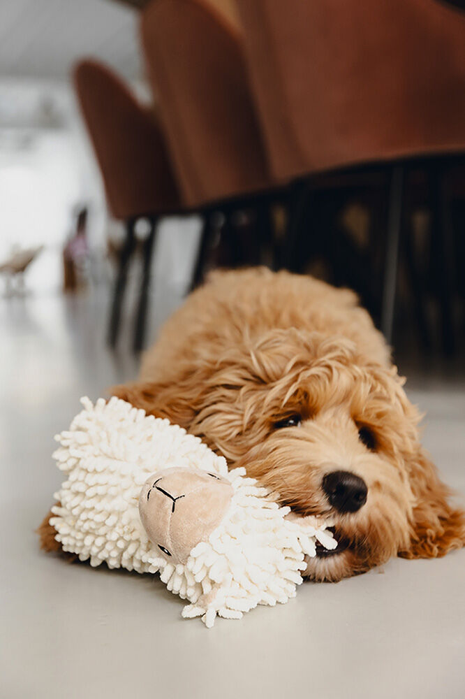 Beeztees Eco Schaap Jovi - Knuffel - Hondenspeelgoed - Beige - 32x18.5x11 cm