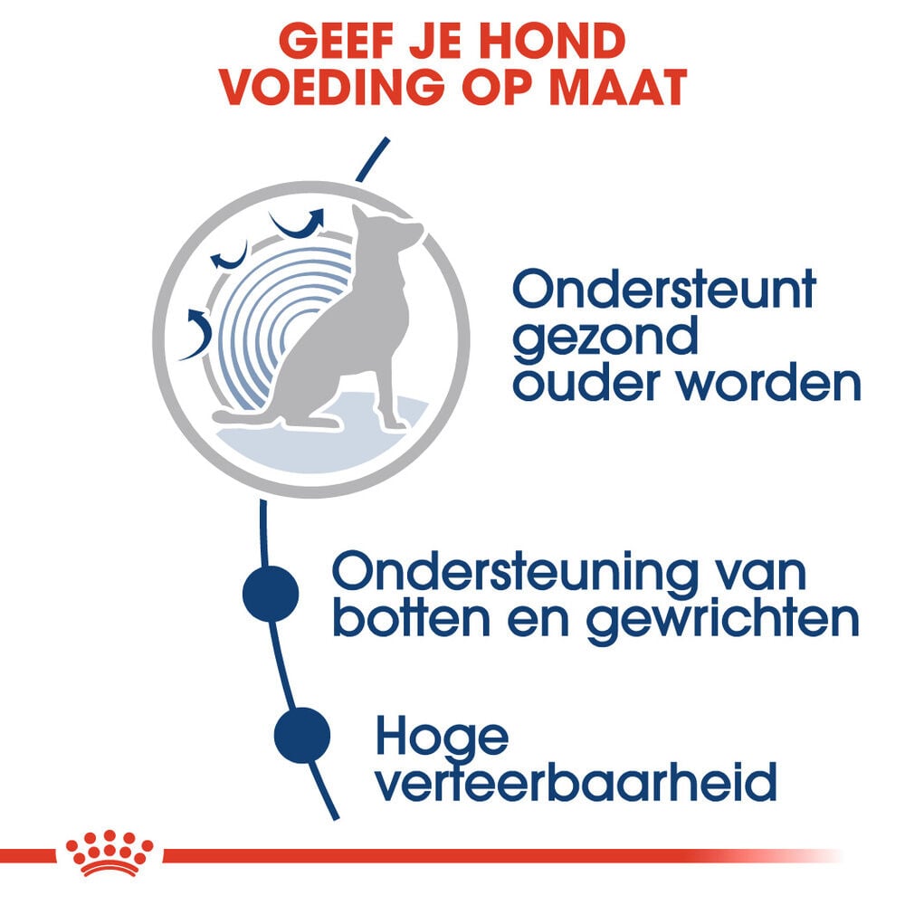 Royal Canin Maxi Ageing - Hondenvoer - 140 Gram - gevogelte