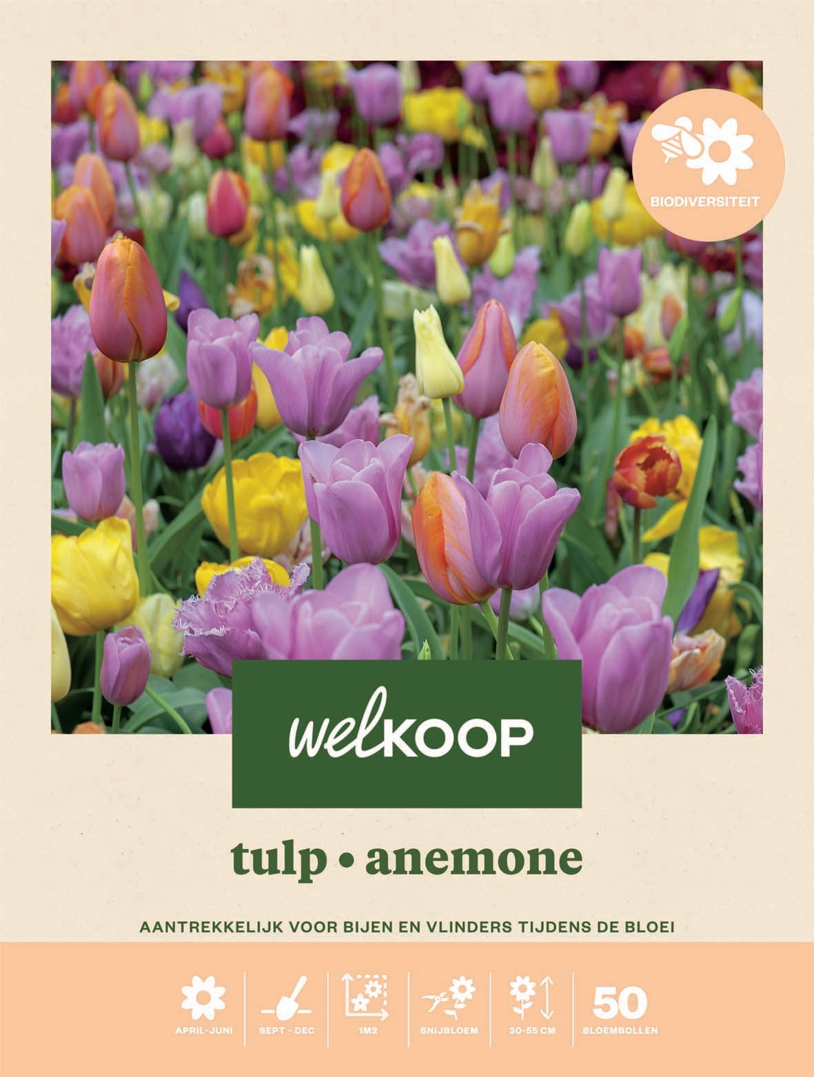 Welkoop Tulp Anemone - Biodiversiteit - Bloembollen Welkoop Tulp Anemone - Biodiversiteit - Bloembollen