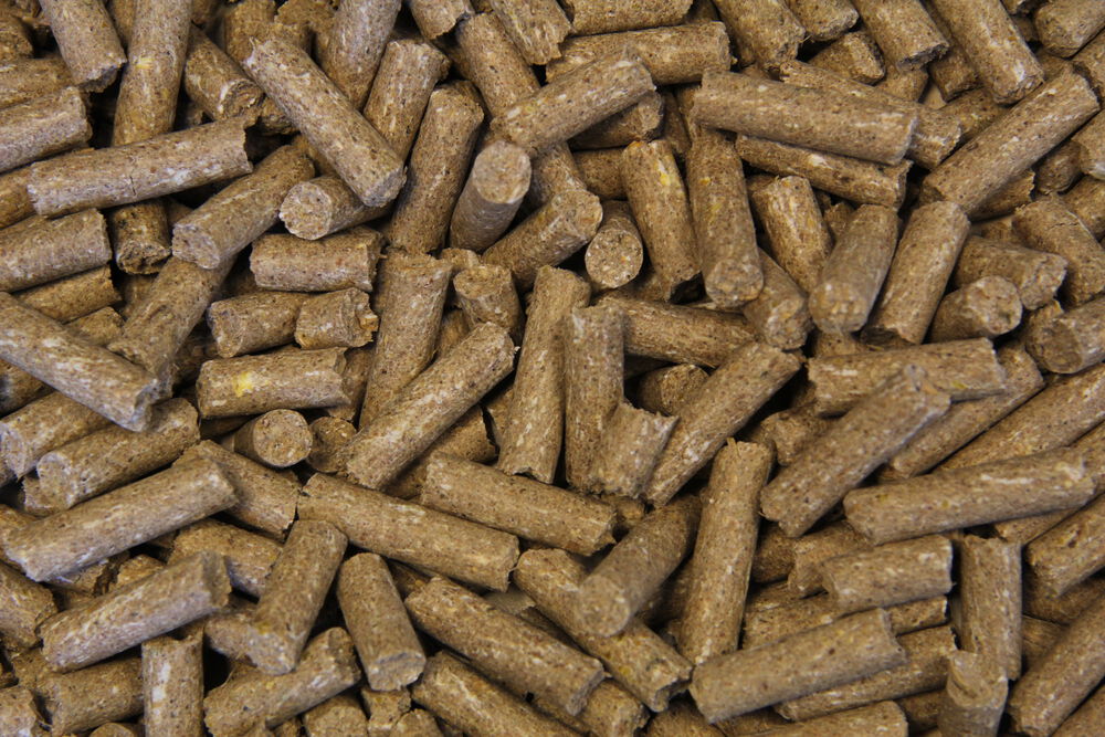 Voermeesters Sport vitaal - Sport/ Prestatie - 20 Kilogram - Zak