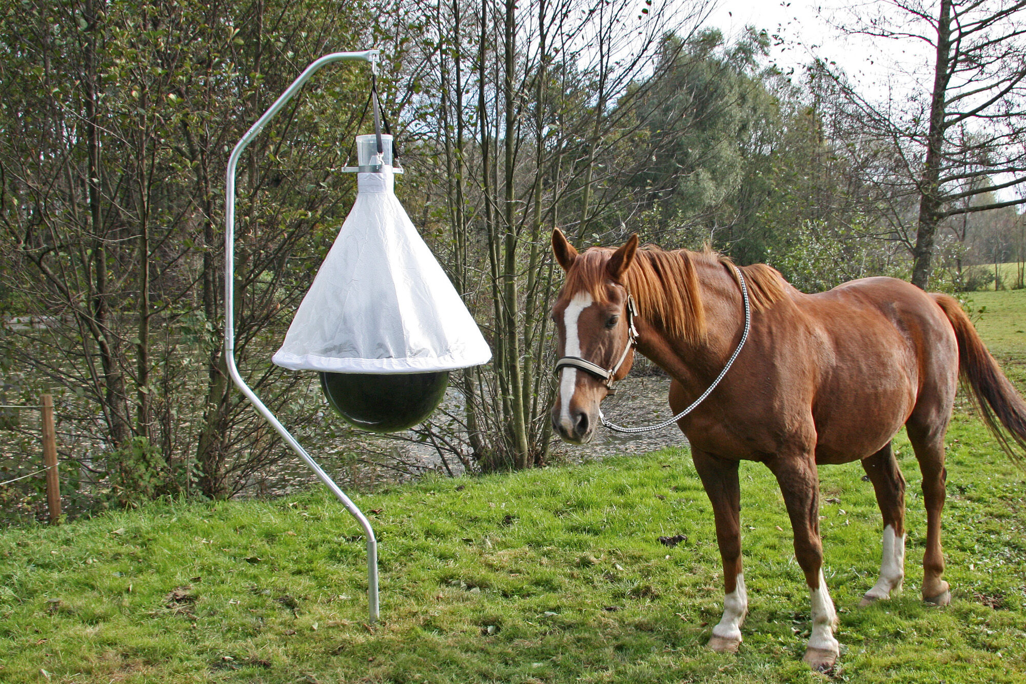 Kerbl TaonX Dazenval