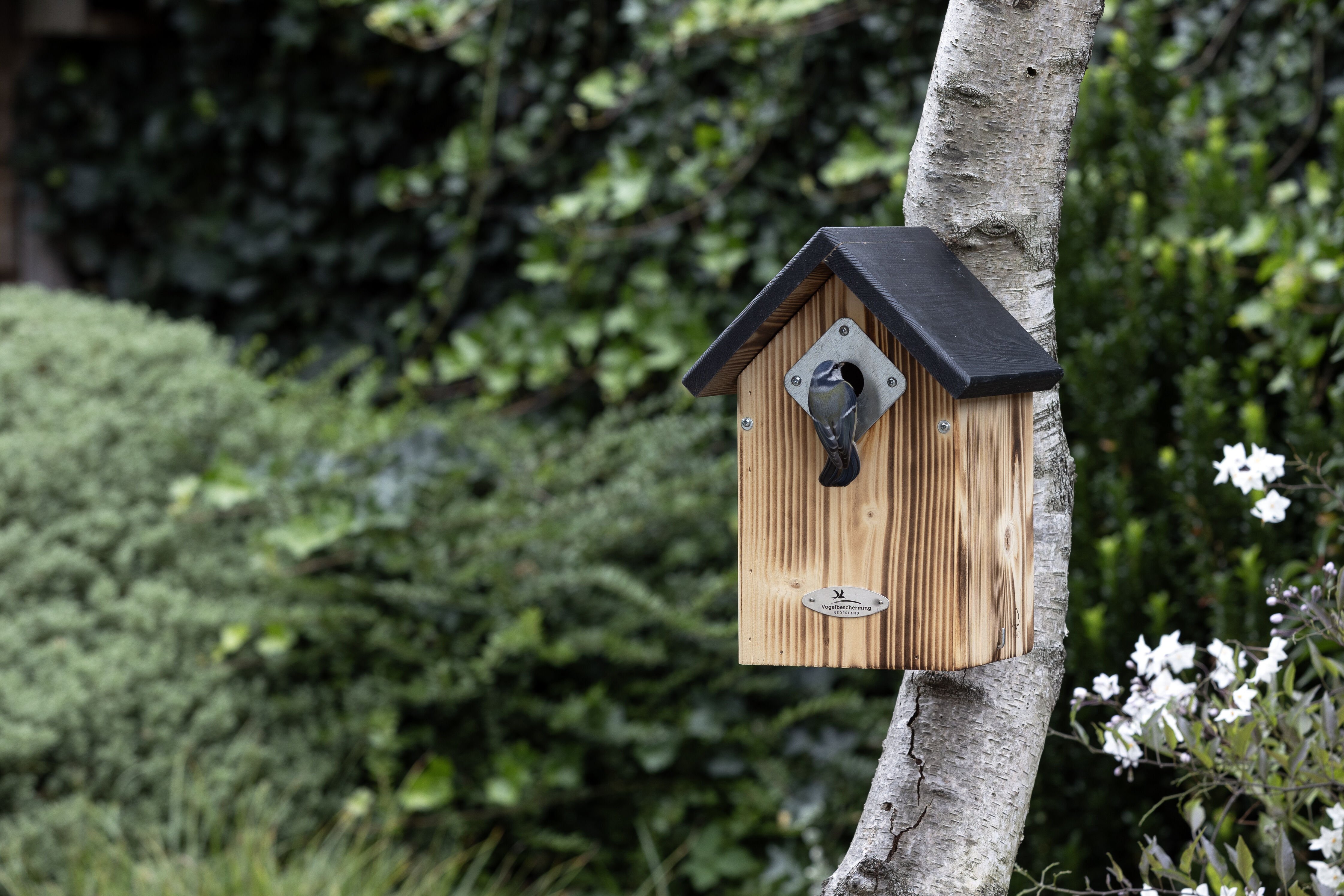 Vogelbescherming - El Paso - Nestkast - Bruin, Zwart
