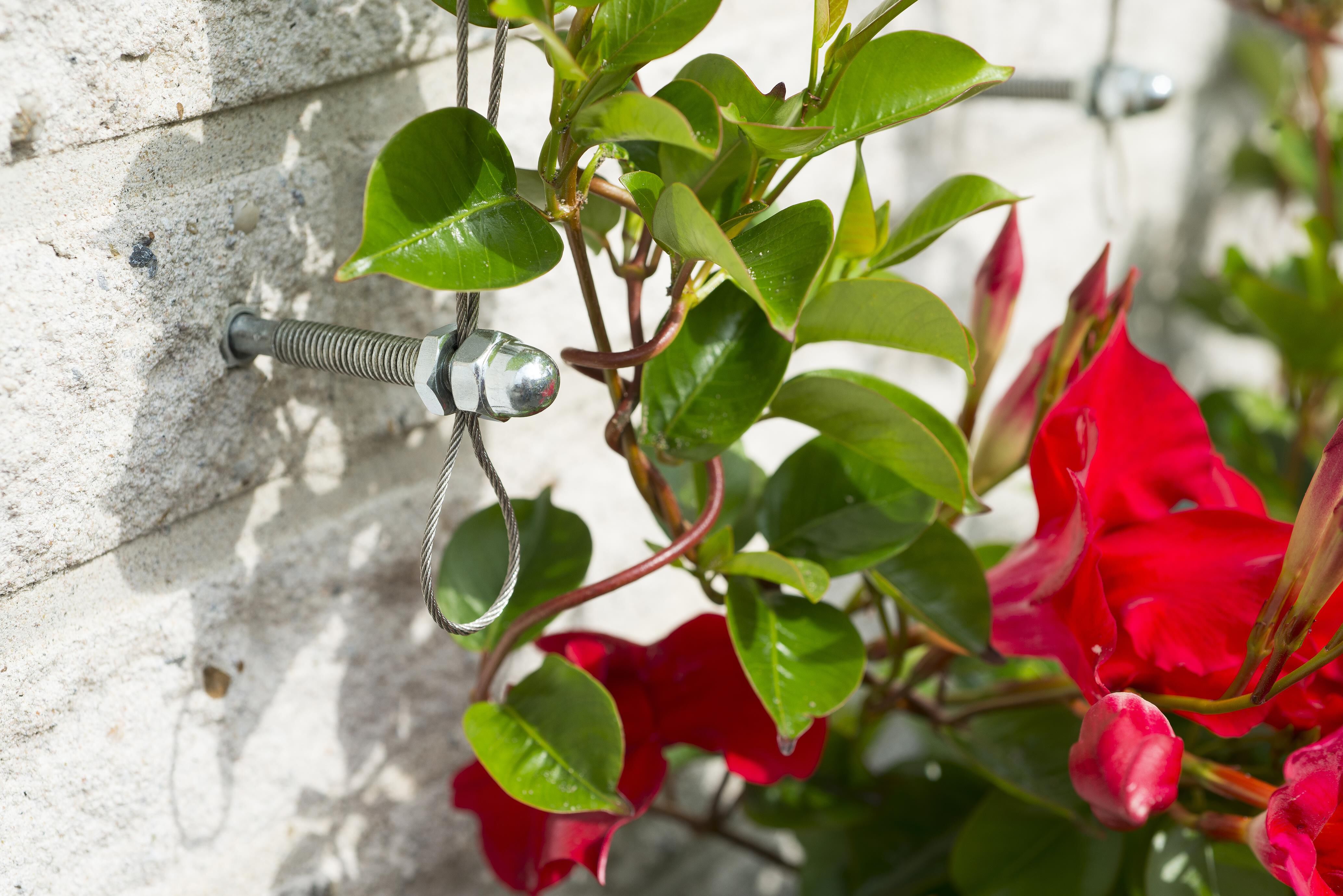 Nature - Klimrek draadset - 21x12.5x2.5 cm