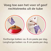 Beaphar Duo - Active Met Malt  - Haarbalpasta - 100 Gram - 17.5x5x3.5 cm
