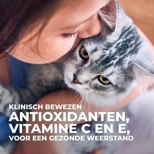 Hill's Science Plan Kitten - Kattenvoer - 12x85 gram - 85 Gram - vis, kip