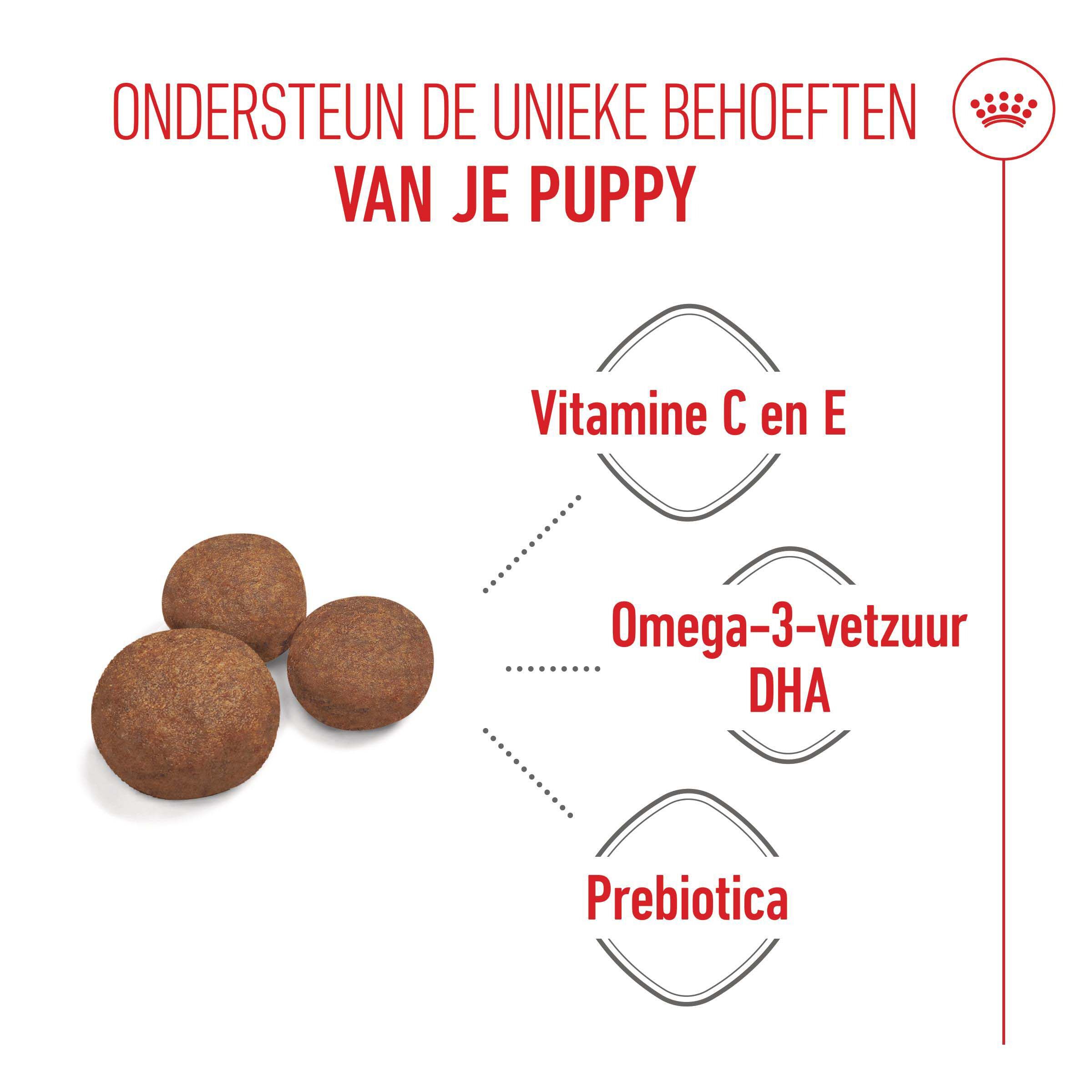 Royal Canin SHN Medium Puppy - Hondenvoer - 12 Kilogram - gevogelte
