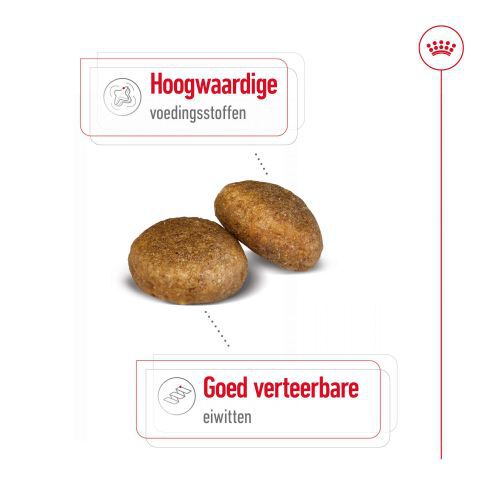 Royal Canin Maxi Adult - Hondenvoer - 12 Kilogram - gevogelte