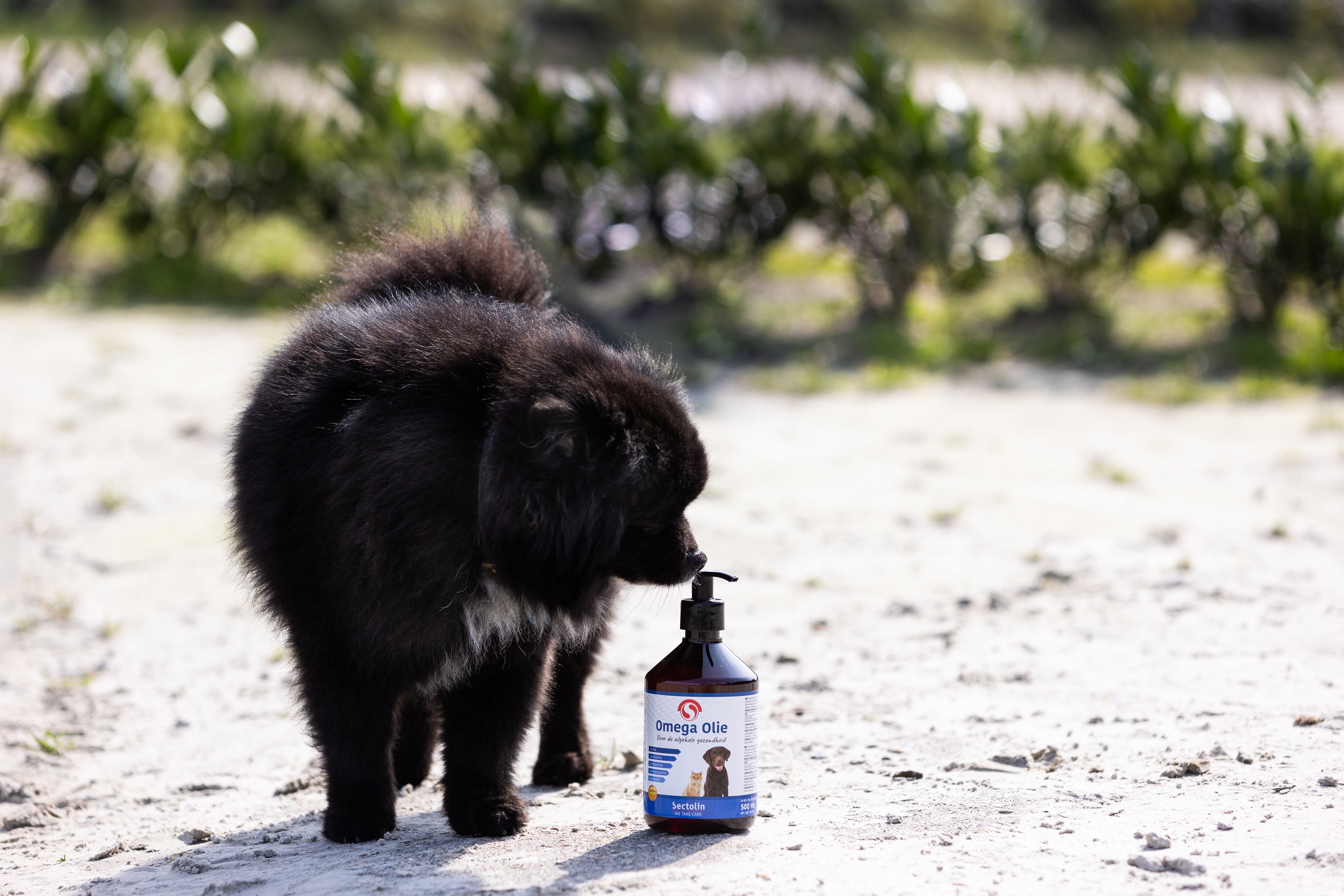 Sectolin Omega Olie - Immuunsysteem Hond en Kat - 500 Milliliter