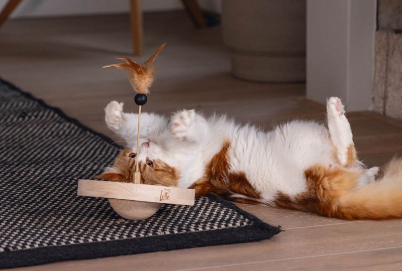 Designed by Lotte Winni - Kattenspeeltje - Bruin