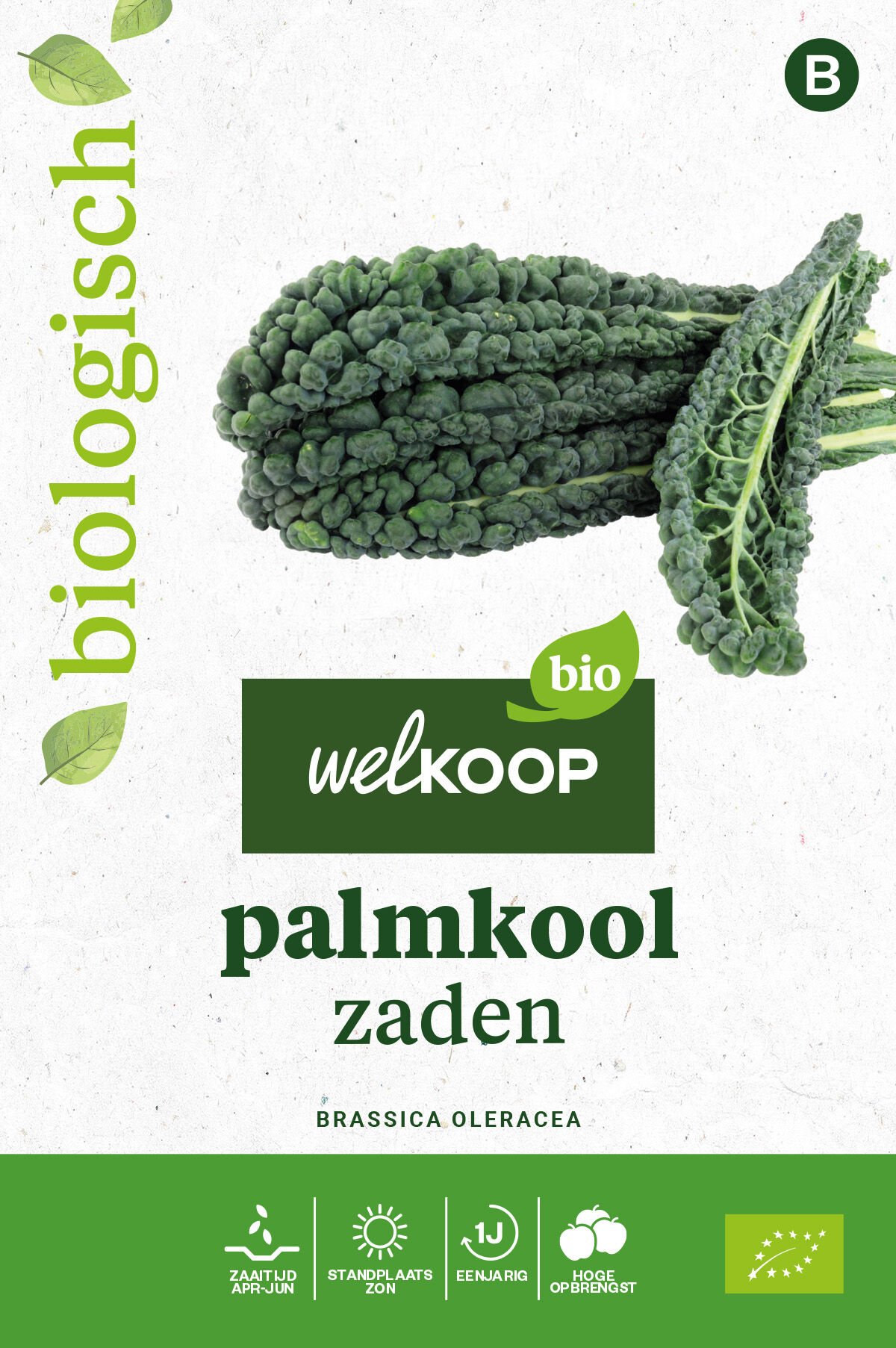 Welkoop Bio - Palmkool Zaden