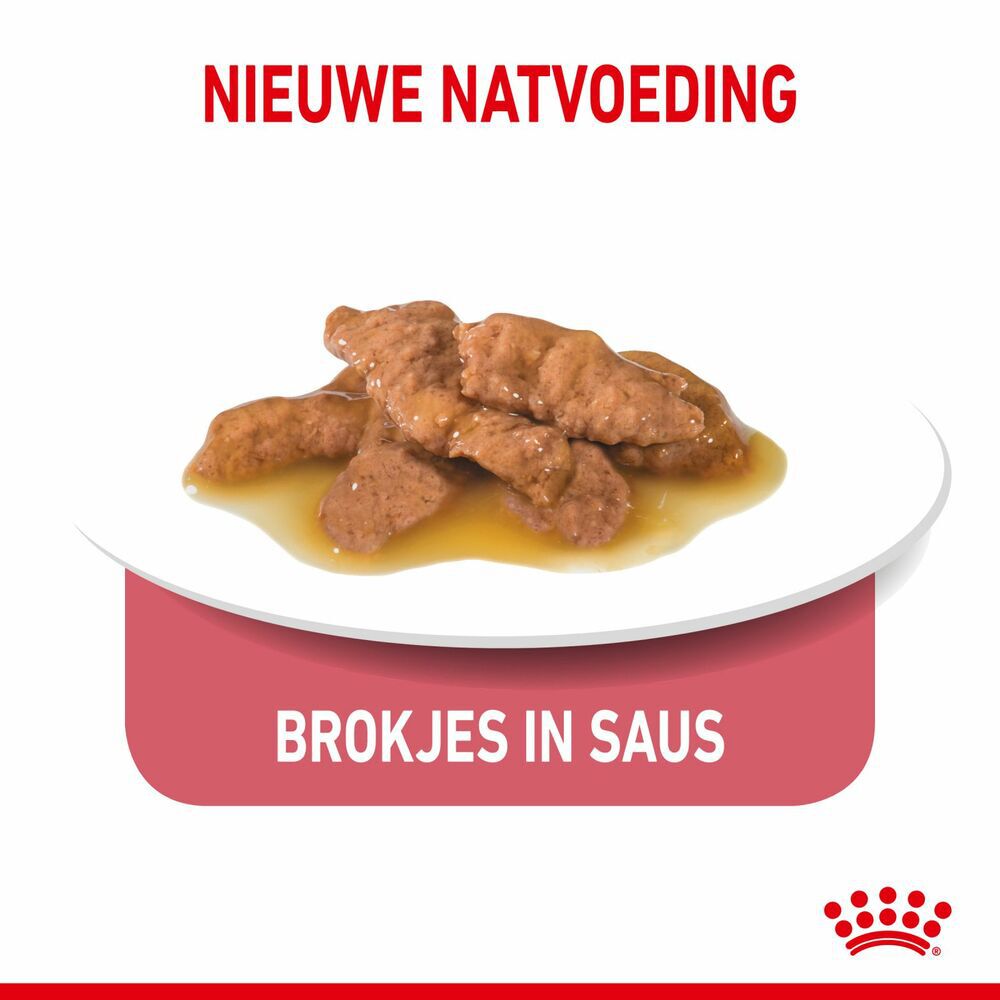 ROYAL CANIN Indoor 7+ - Kattenvoer - 1020 Gram