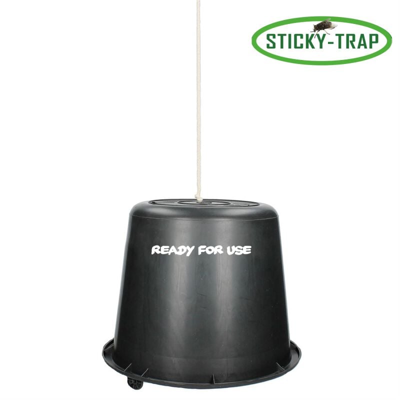 Sticky Trap - Dazenval Emmer - Zwart