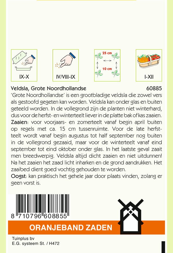 Oranjeband zaden Veldsla Grote Noordhollandse - Groentezaden