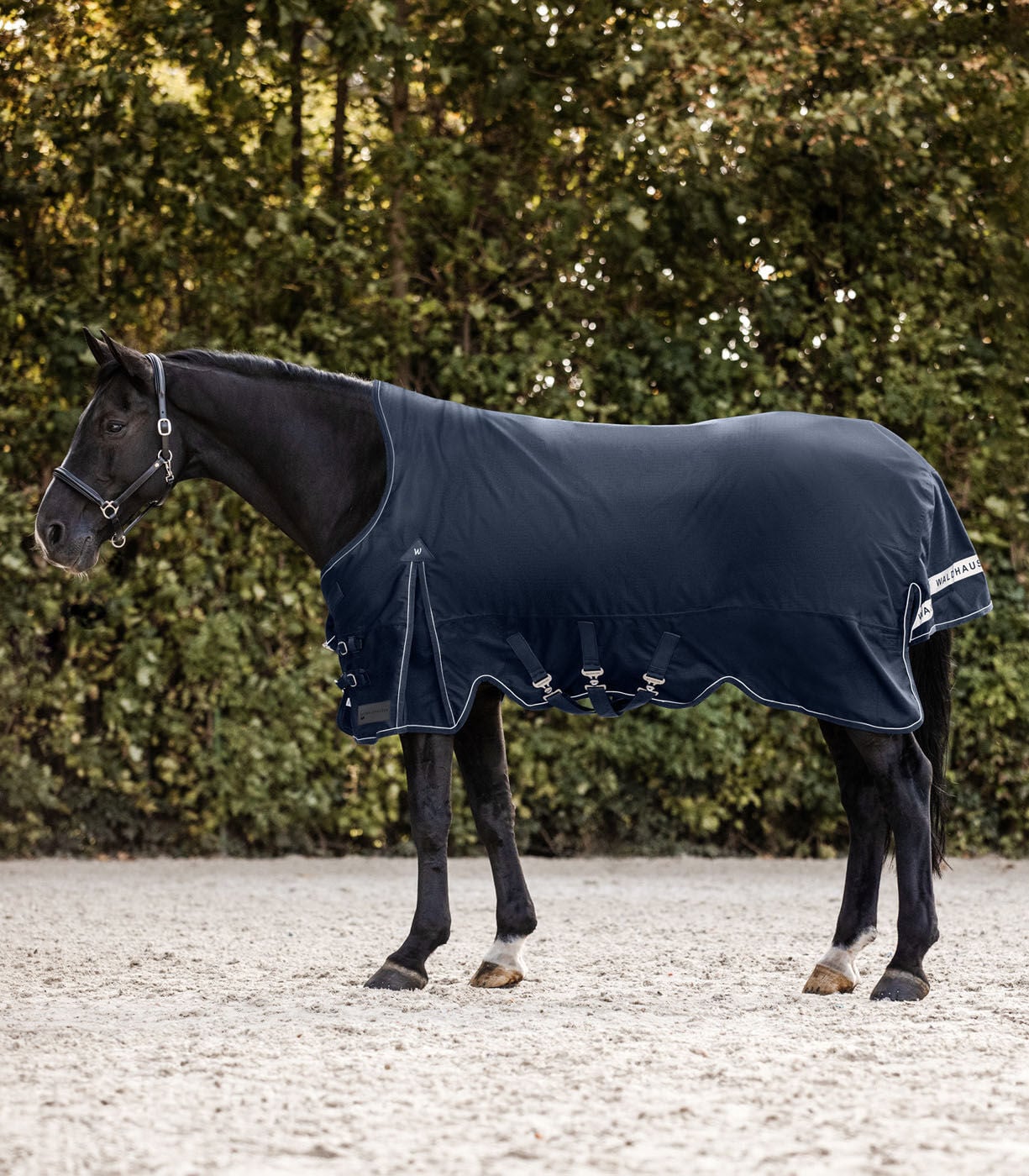 Waldhausen Scandic Hoge nek 200 gr - Winterdeken - Paardendeken - Blauw - 125/175 Waldhausen Scandic Hoge nek 200 gr - Winterdeken - Paardendeken - Blauw - 125/175