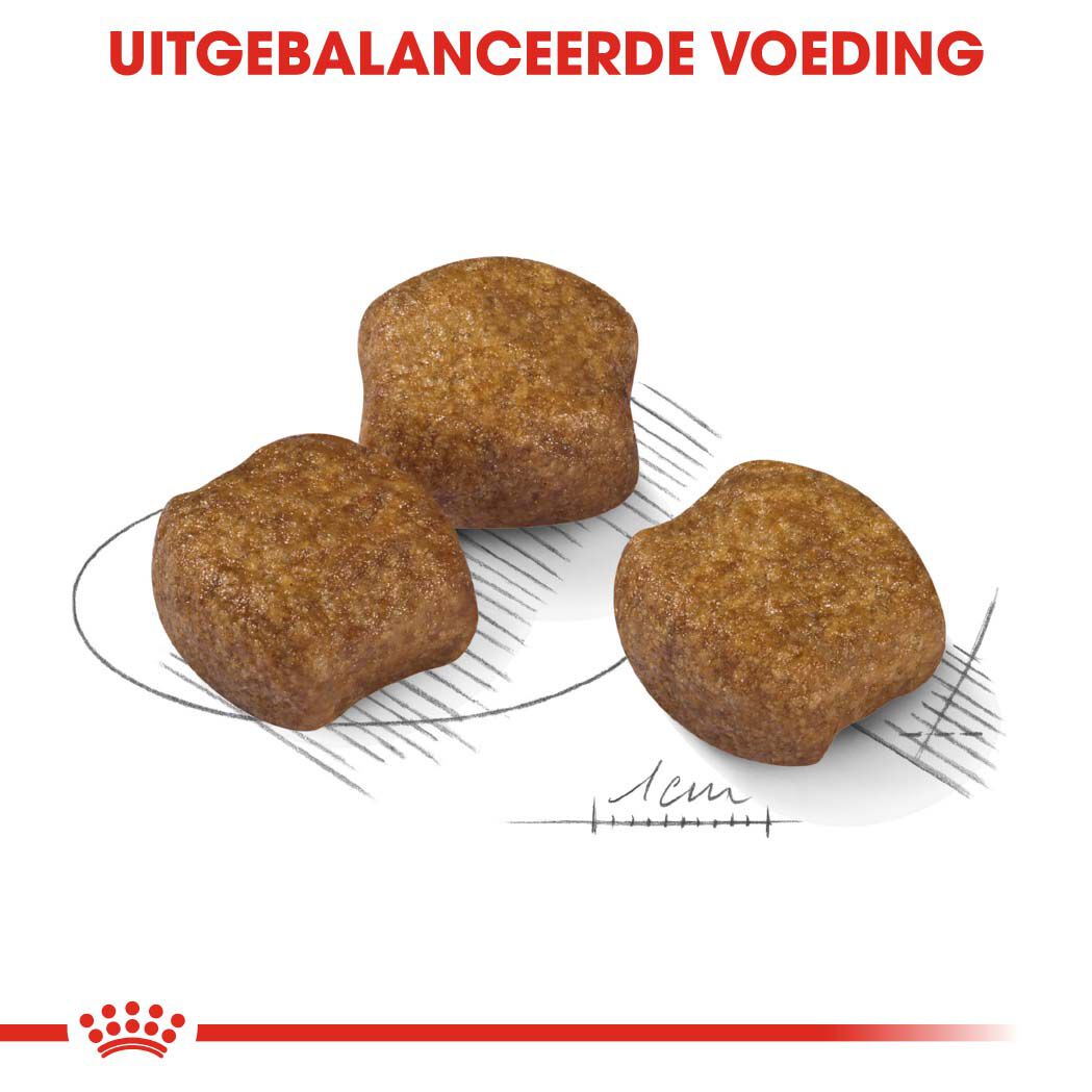 Royal Canin Dental Care Medium - Hondenvoer - 3 Kilogram - gevogelte
