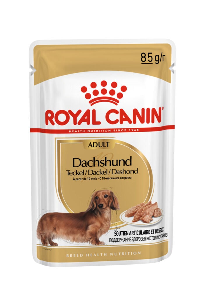 Royal Canin Dachshund Adult Pouch - Hondenvoer - 12x85 gram Royal Canin Dachshund Adult Pouch - Hondenvoer - 12x85 gram