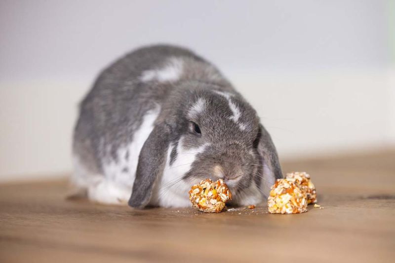 Beeztees Cones - Knaagdiersnack - 10 Stuks - appel