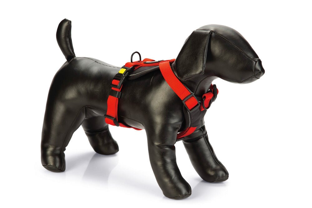 Beeztees Premium Parinca - Y-tuig Hond - rood - 59 tot 67 cm Beeztees Premium Parinca - Y-tuig Hond - rood - 59 tot 67 cm