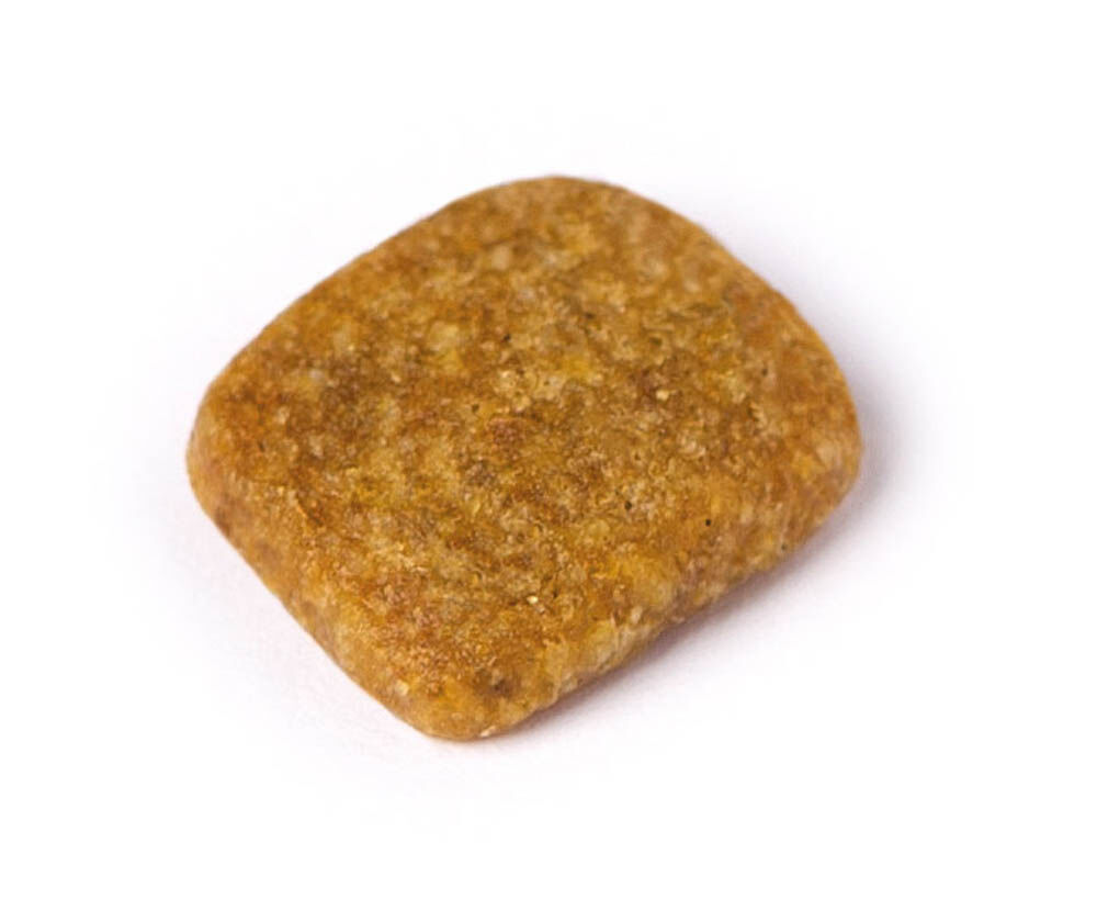 Prins VitalCare Senior - Kattenvoer - 4 Kilogram - gevogelte