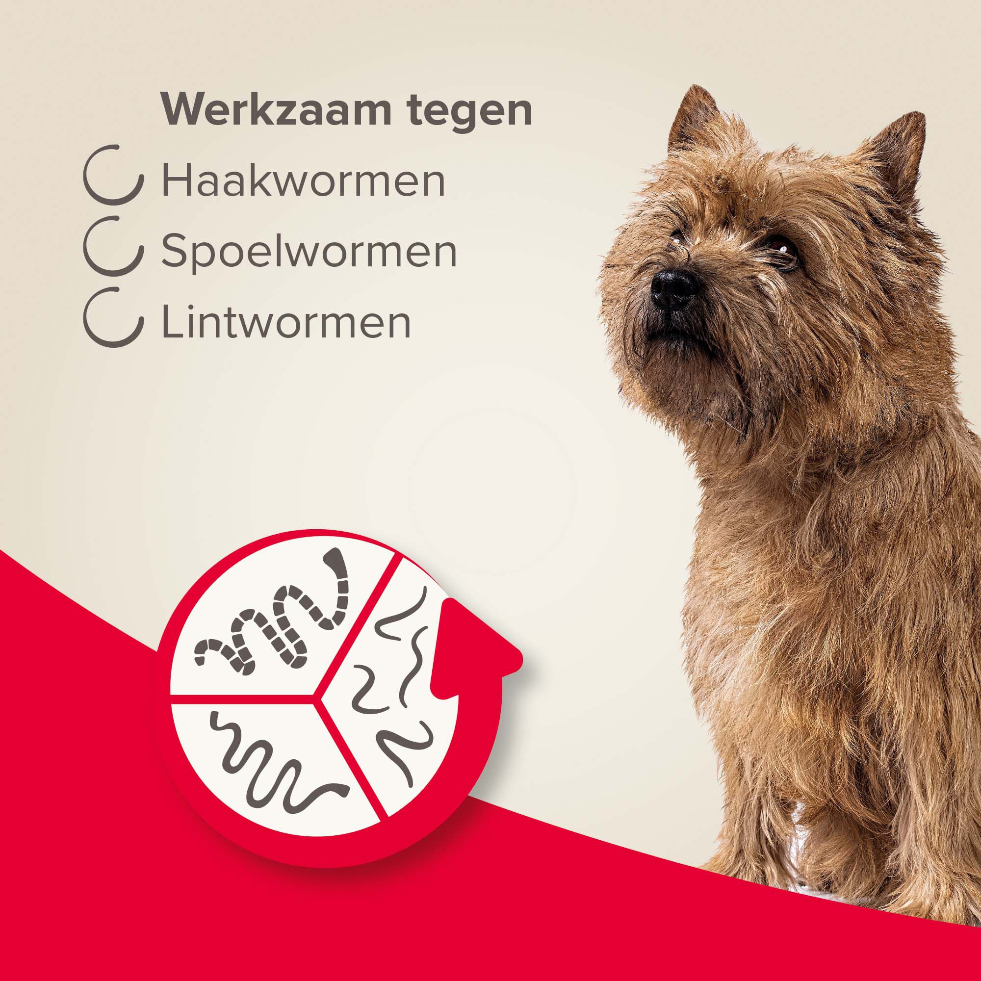 Beaphar All-in-one Tabletten - Ontwormen Hond - 2 Stuks - S