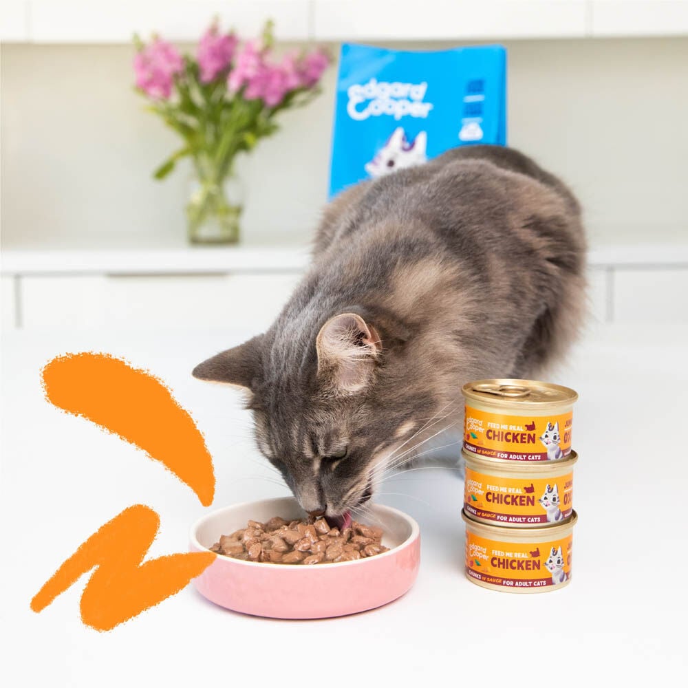 Edgard & Cooper Senior Stukjes in saus - Kattenvoer - 85 Gram - kalkoen, kip