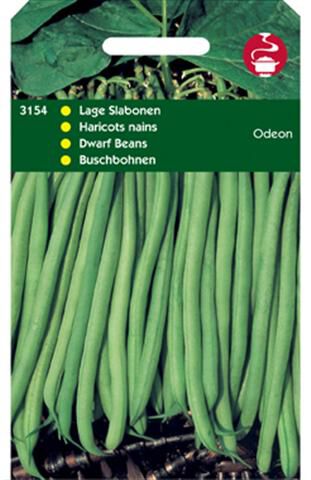Hortitops Stamslabonen Phaseolus Vulgaris L. Odeon - Groentezaden