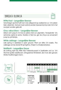 Hortitops Witte kool Brassica oleracea Langedijker Bewaar - Groentezaden