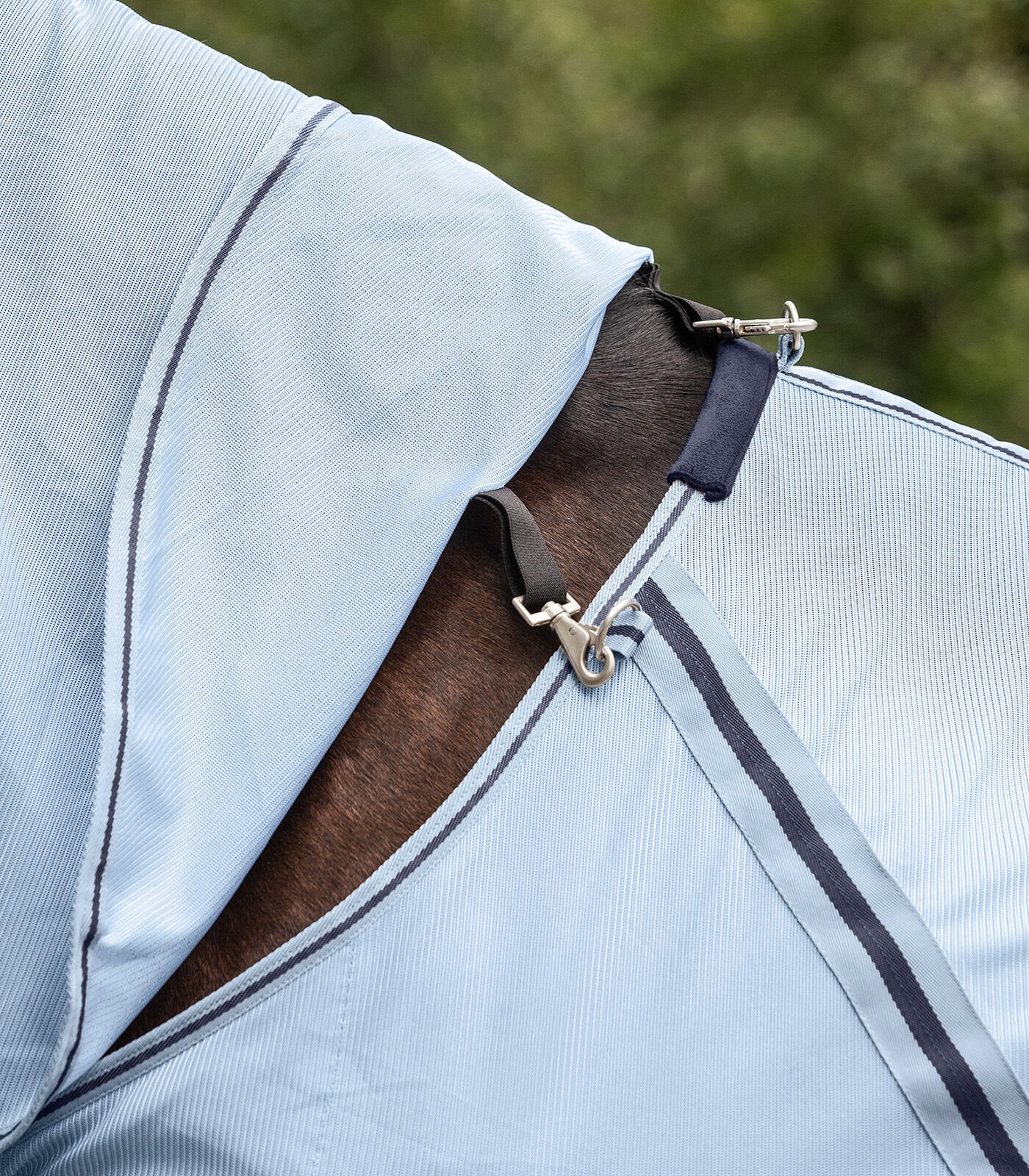 Waldhausen met Halsstuk - Vliegendeken - Zilver - 155/205