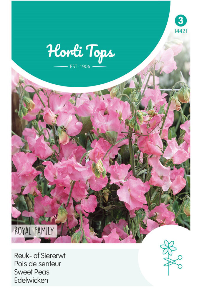 Hortitops Reuk- of Siererwt Royal Roze - Bloemzaden