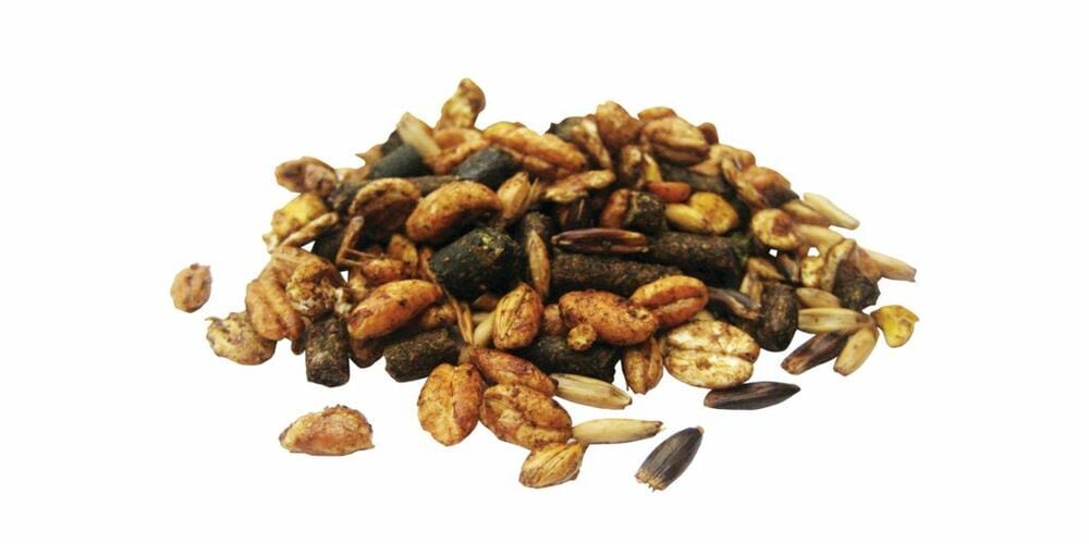 Pavo Triple P  -  Sport/ prestatie - Paardenvoer - 15 Kilogram - Zak