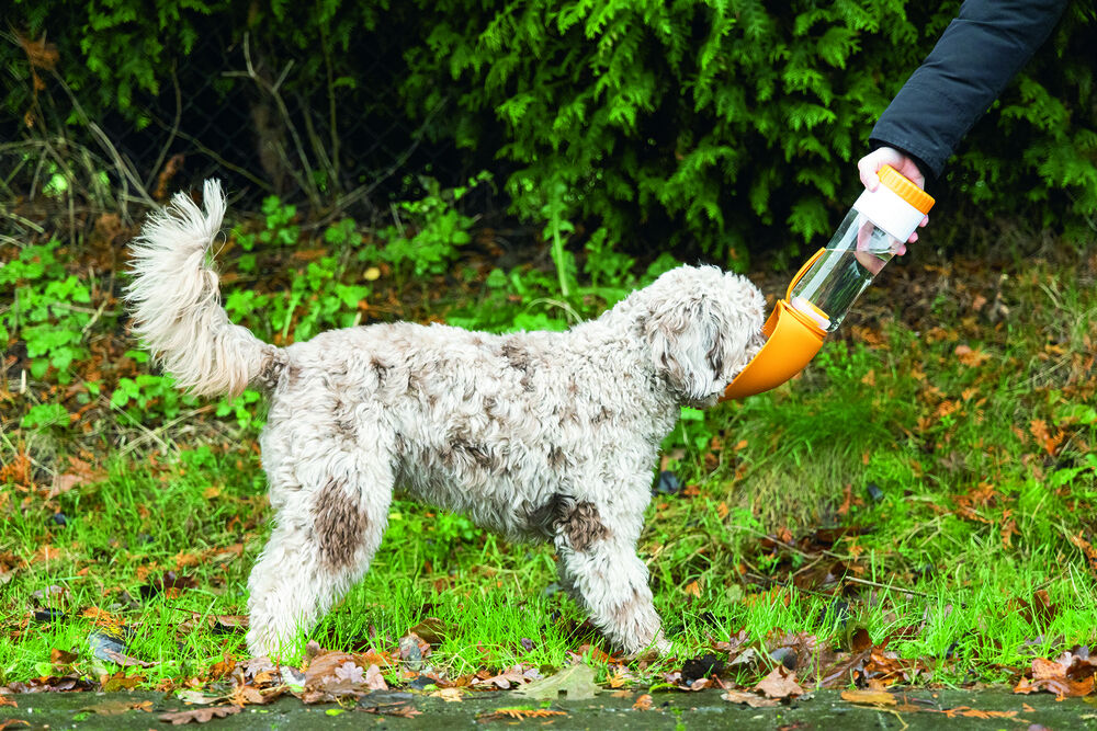 Beeztees Rua - Reis Voer & Drinkbak - Blauw