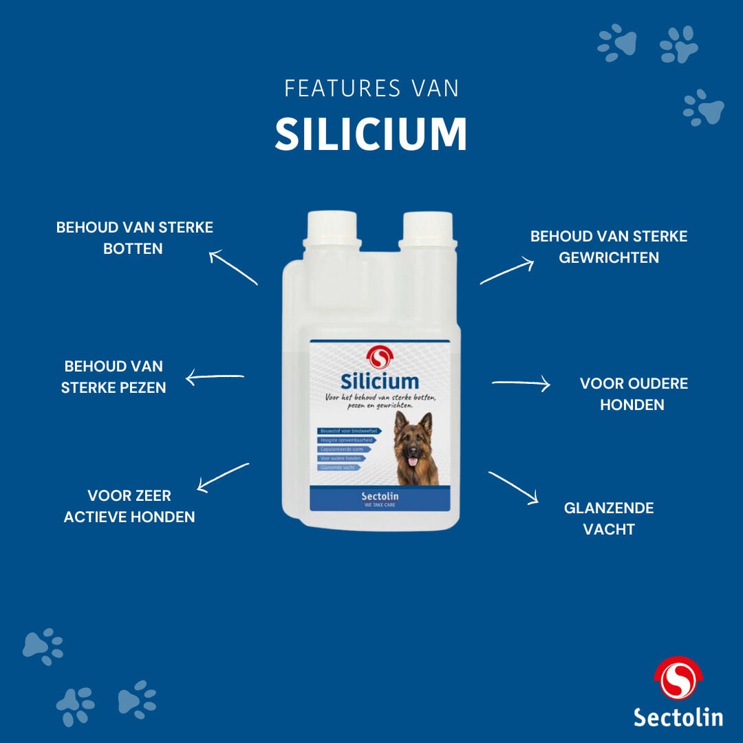 Sectolin Silicium - Gewrichten en botten Hond - 500 Milliliter