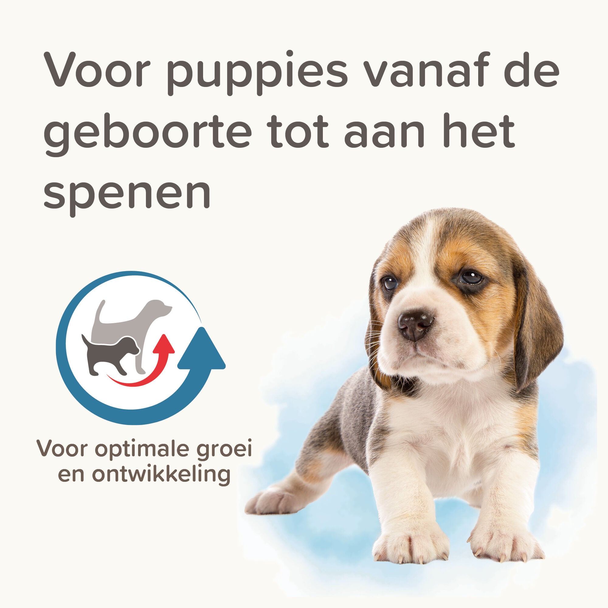 Beaphar Lactol - Puppy Milk - 250 Gram