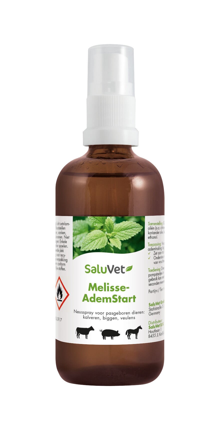 Saluvet Melissengeist Ademspray - Energie stimulans - 50 Milliliter