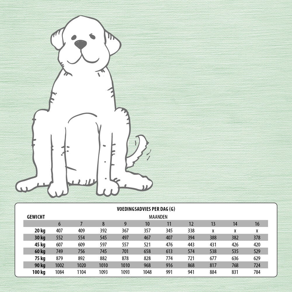 Jarco Dog Giant Junior - Hondenvoer - 12.5 Kilogram - kip