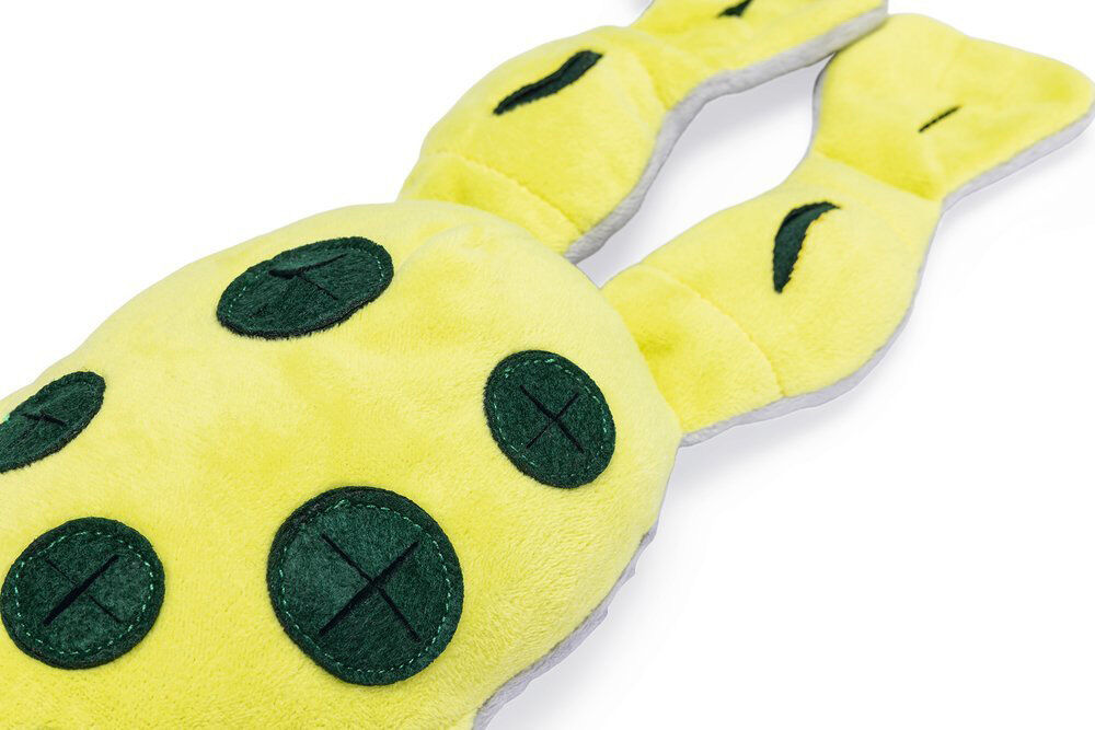 Beeztees Hide and Seek Kikker - Snuffelmat - Hondenspeelgoed - 7x20x31 cm