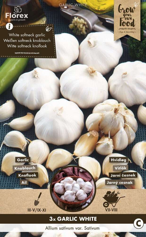 Florex Allium sativum - Knoflook
