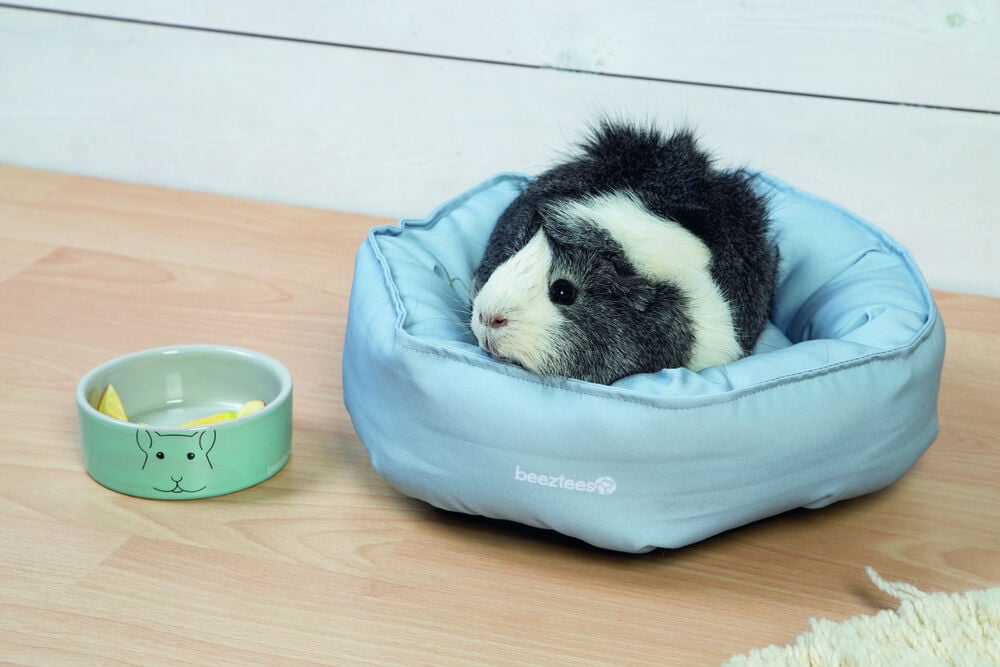 Beeztees Knuggy - Ligbed - Mint - 12x31x31 cm