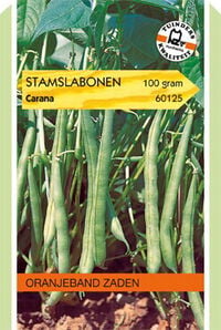 Oranjeband zaden Stamslabonen Carana - Groentezaden - 100 Gram