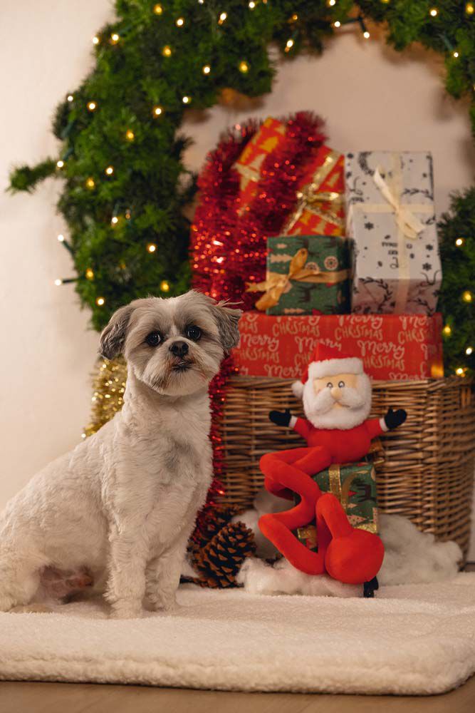 Beeztees Kerstman Spiraal - Knuffel - Hondenspeelgoed - Rood