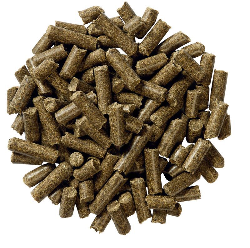 Equilannoo Gastro Cube - Specialiteit - 20 Kilogram