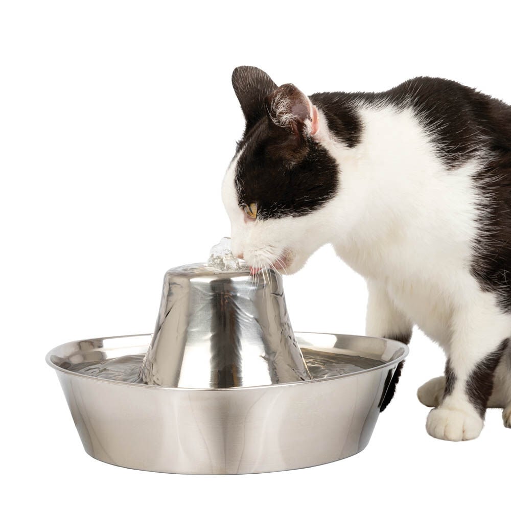 Petsafe Seaside - Drinkfontein RVS - 0.8 l - Zilver - 13.8x28.2x27.5 cm