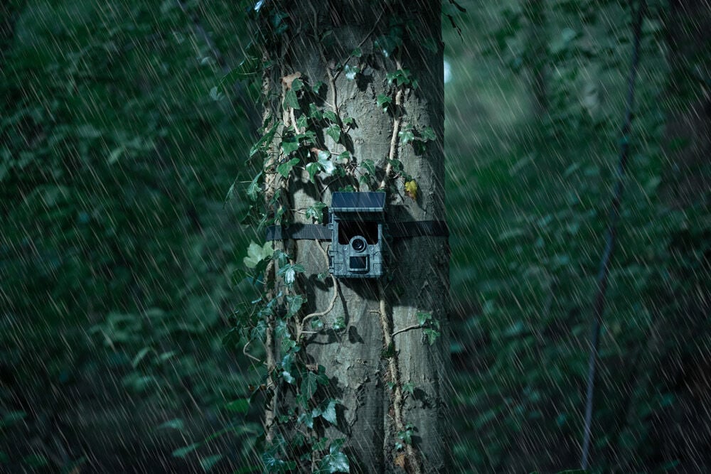 Camouflage EZ Solar - Wildcamera met Wifi en Zonnepaneel