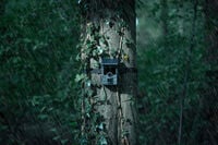 Camouflage EZ Solar - Wildcamera met Wifi en Zonnepaneel - 9x10.9x14 cm